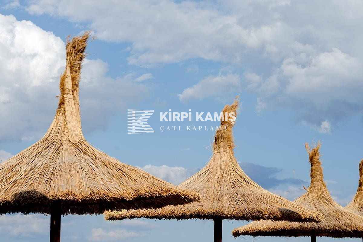 Kamış Nedir? Kamıştan Neler Yapılır?