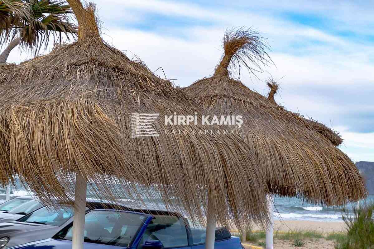 Çin Otu Hasır Kamelya Çatı Örtüsü
