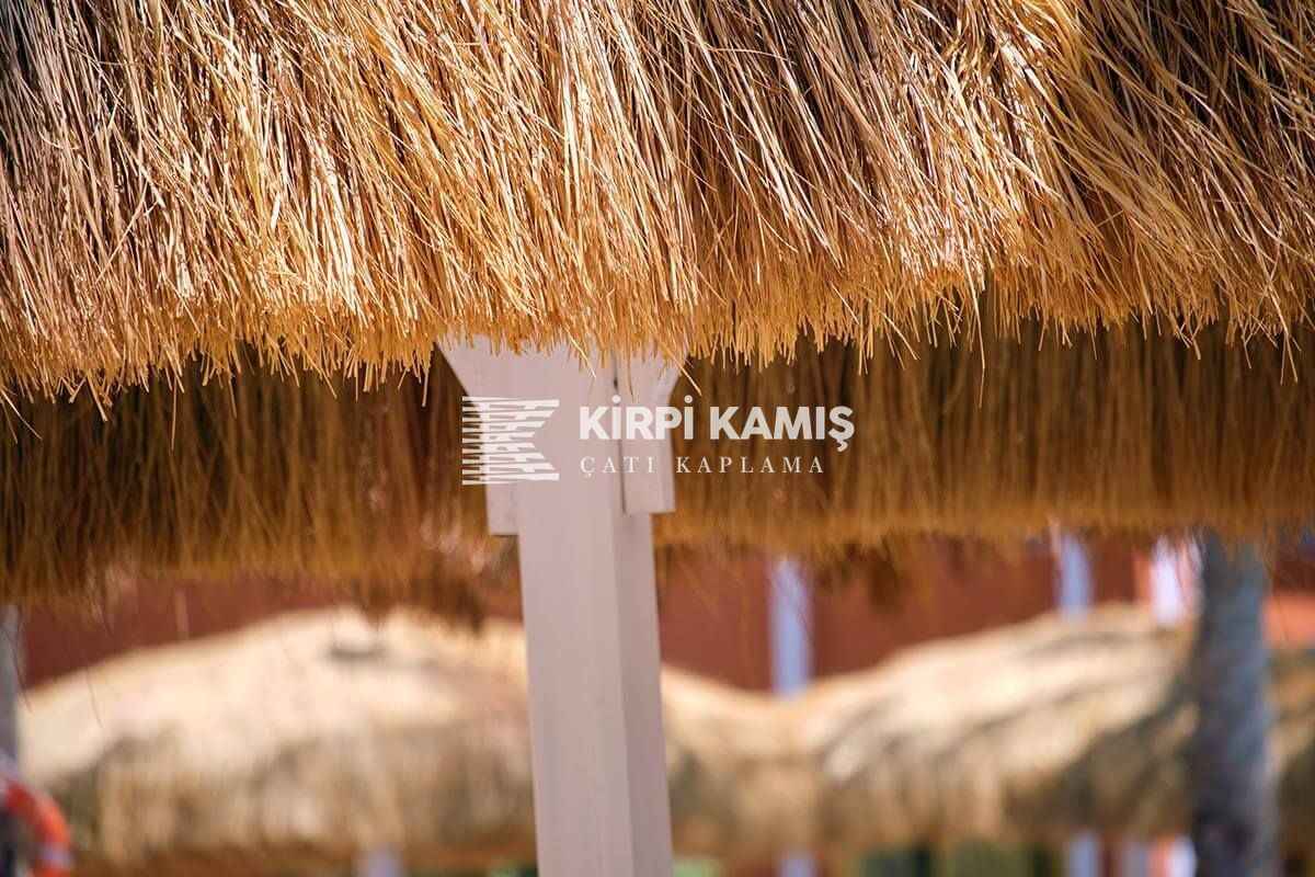Çin Otu Hasır Kamelya Çatı Örtüsü