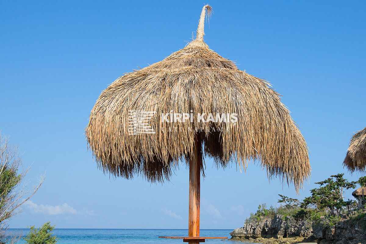 Çin Otu Hasır Kamelya Çatı Örtüsü