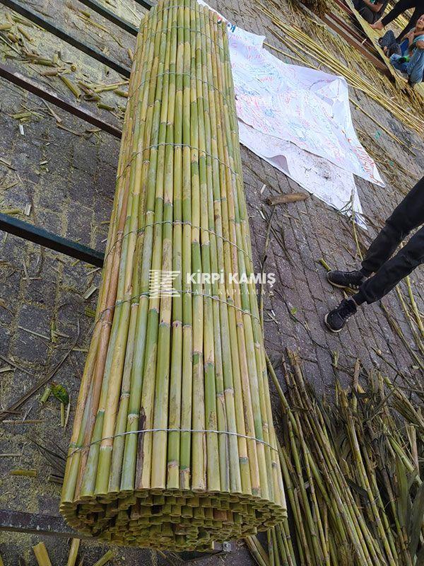 Bambu Çit