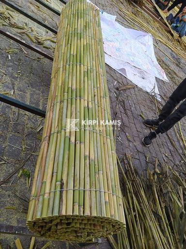 Bambu Çit
