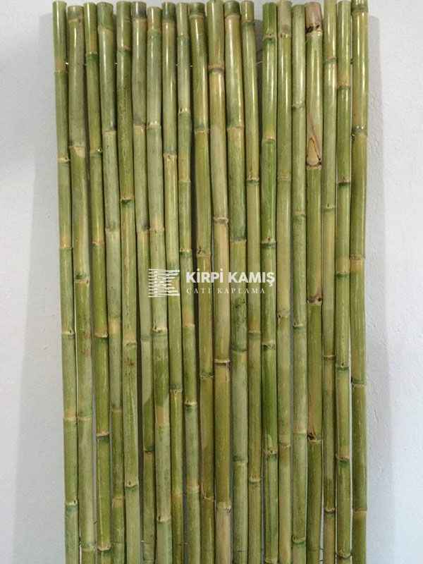 Bambu Kamış