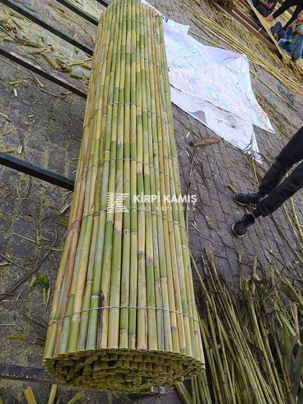 Bambu Kamış