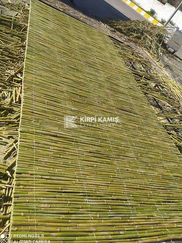 Bambu Kamış