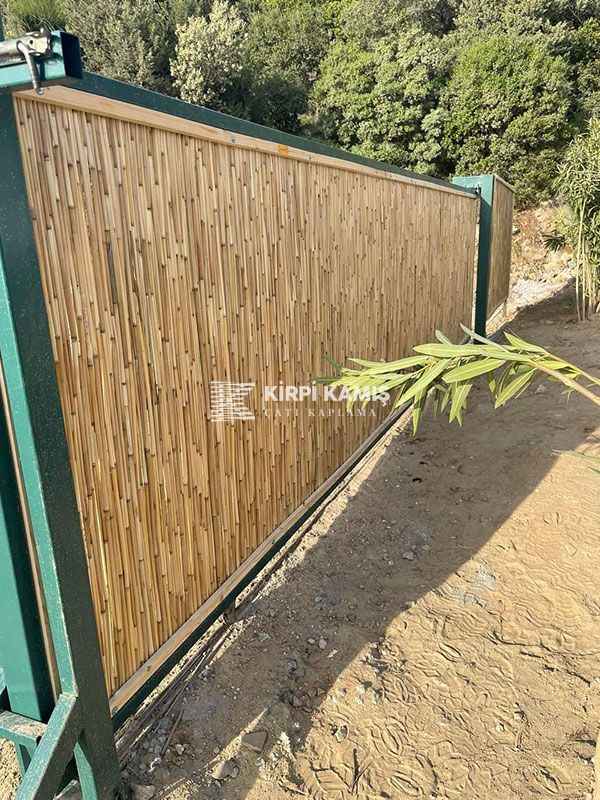 Bambu Kamış