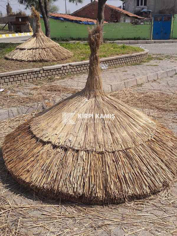 Bambu Şemsiye