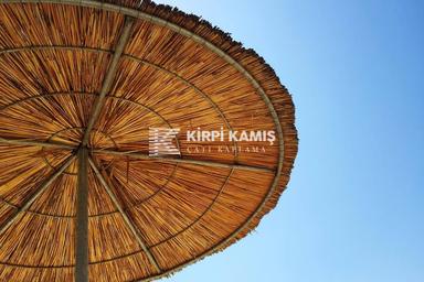 Kamış Şemsiye