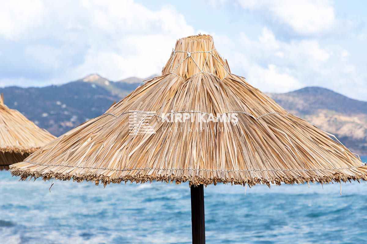 Kamış Şemsiye