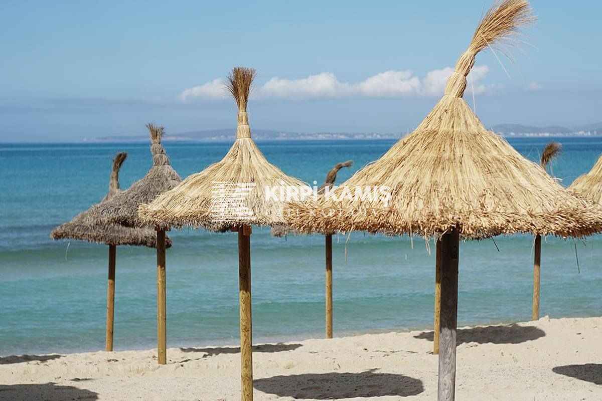 Kamış Şemsiye