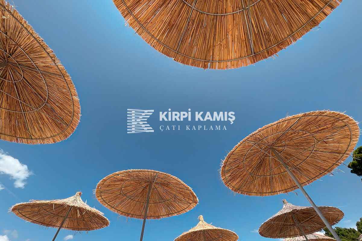 Kamış Şemsiye